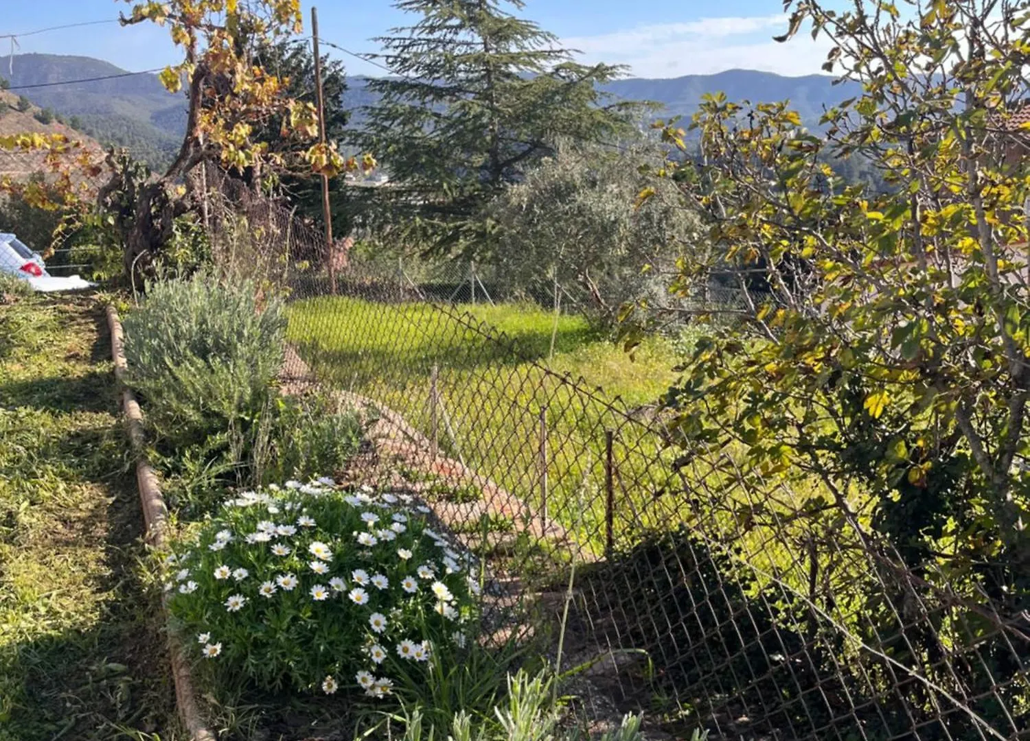 קרדונה Casa Rural Can Bastida